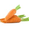 Carottes