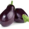 Aubergine