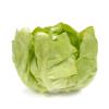 Feuilles de salade fraîche