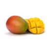Mangue
