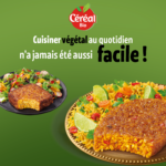 1b353ea28e7b7b6ebcee2ac437d09ba47c8040bd 3259011799909 Staging5 Fr Fr 1
