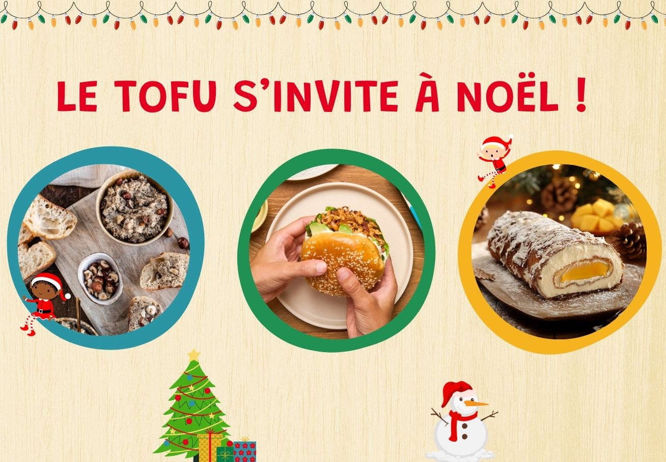 3 Recettes Au Tofu Pour Noel