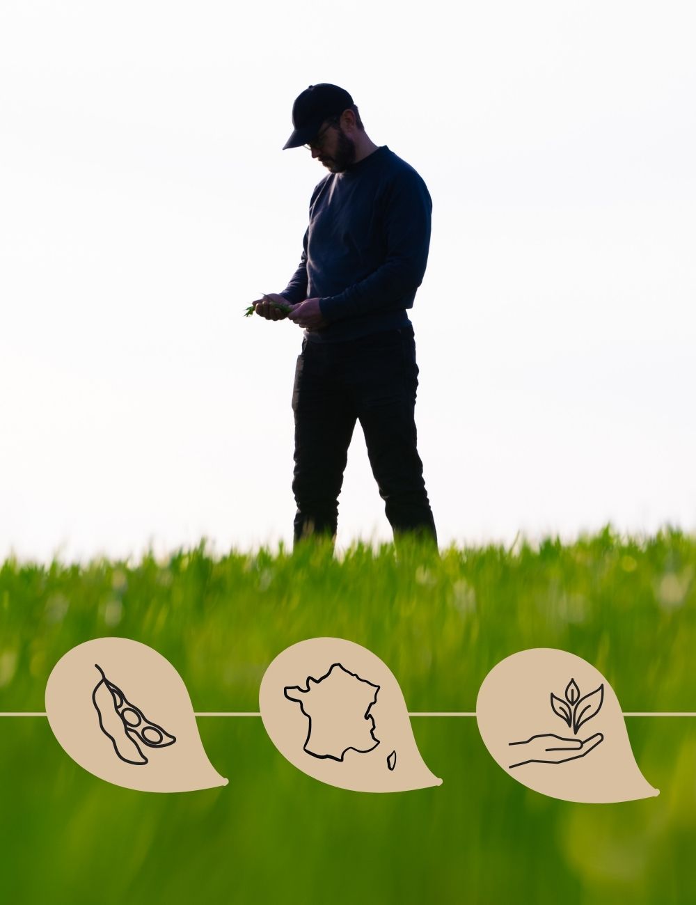 Champs De Soja Agriculteur (3)