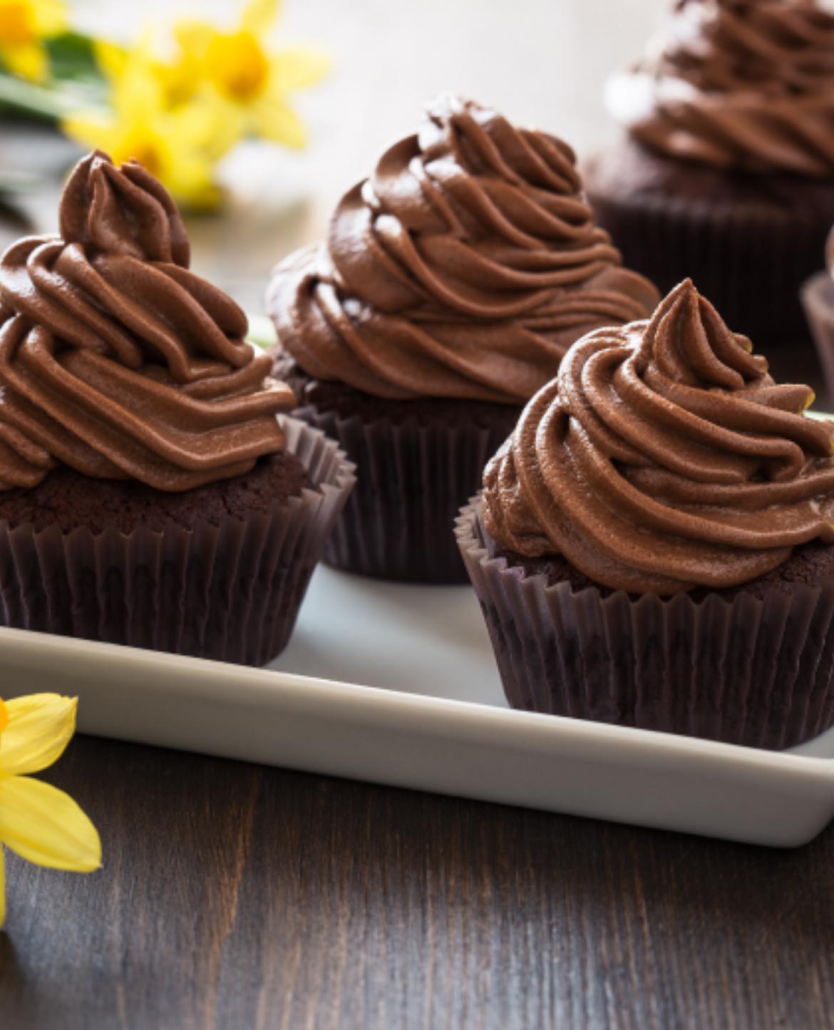 Cupcakes Vegan Chocolat