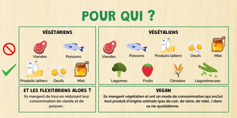 Differents Regimes Alimentaires