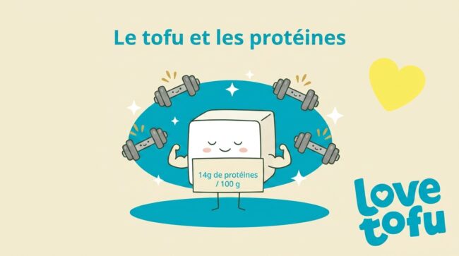 Le Tofu Et Les Proteines