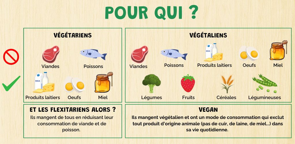 Les Differents Regimes Alimentaires