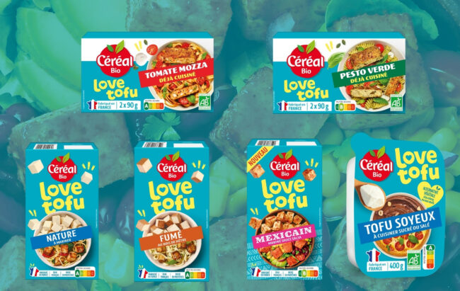 Quel Tofu Choisir