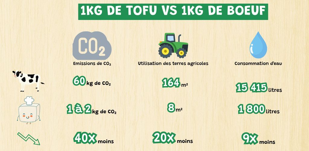 1kg De Tofu Vs 1kg De Boeuf (3)