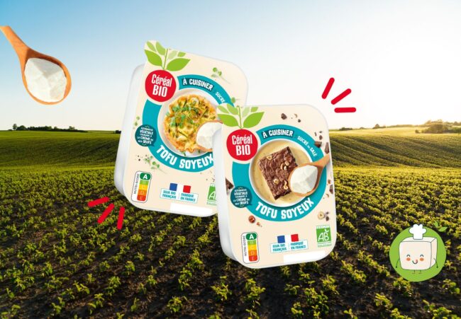 Decouvrez Le Tofu Soyeux Bienfaits Et Secrets De Chef