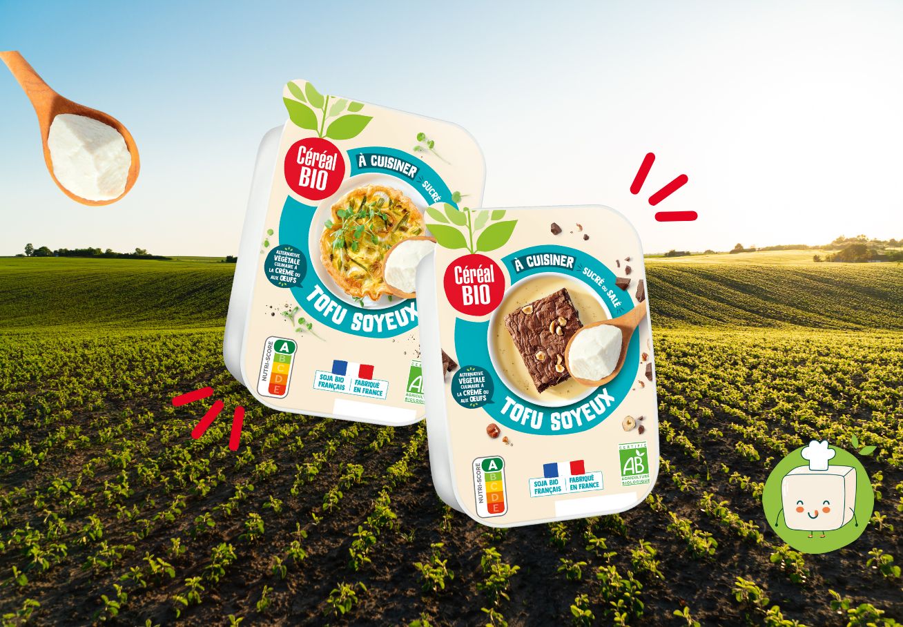 Decouvrez Le Tofu Soyeux Bienfaits Et Secrets De Chef