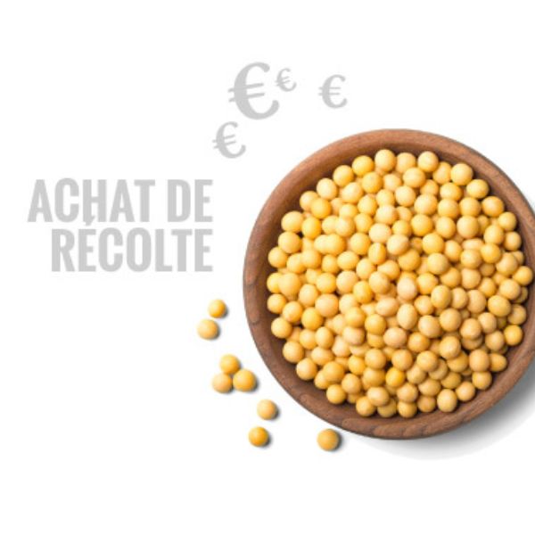 Histoire 2 1 Monsieur Et Mandame Bomel