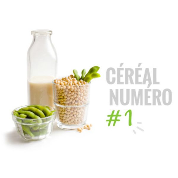 Histoire 2 Monsieur Et Mandame Bomel