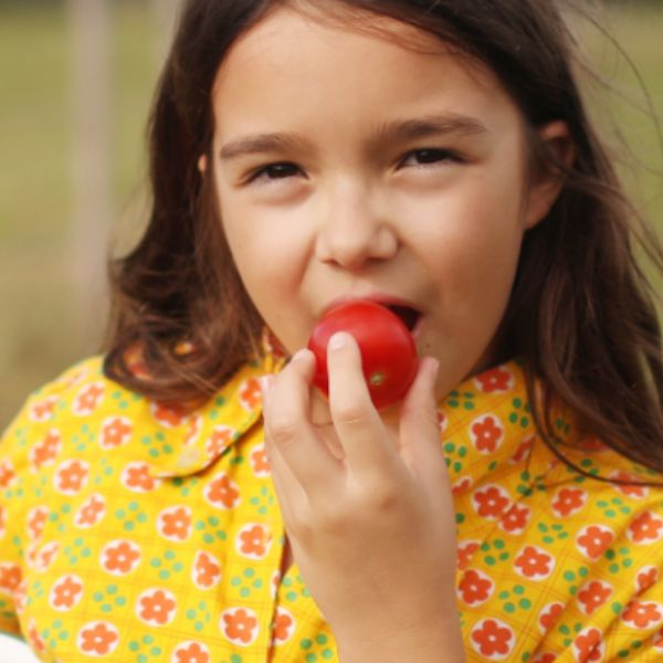 Plaisir Goourmand Pour Tous