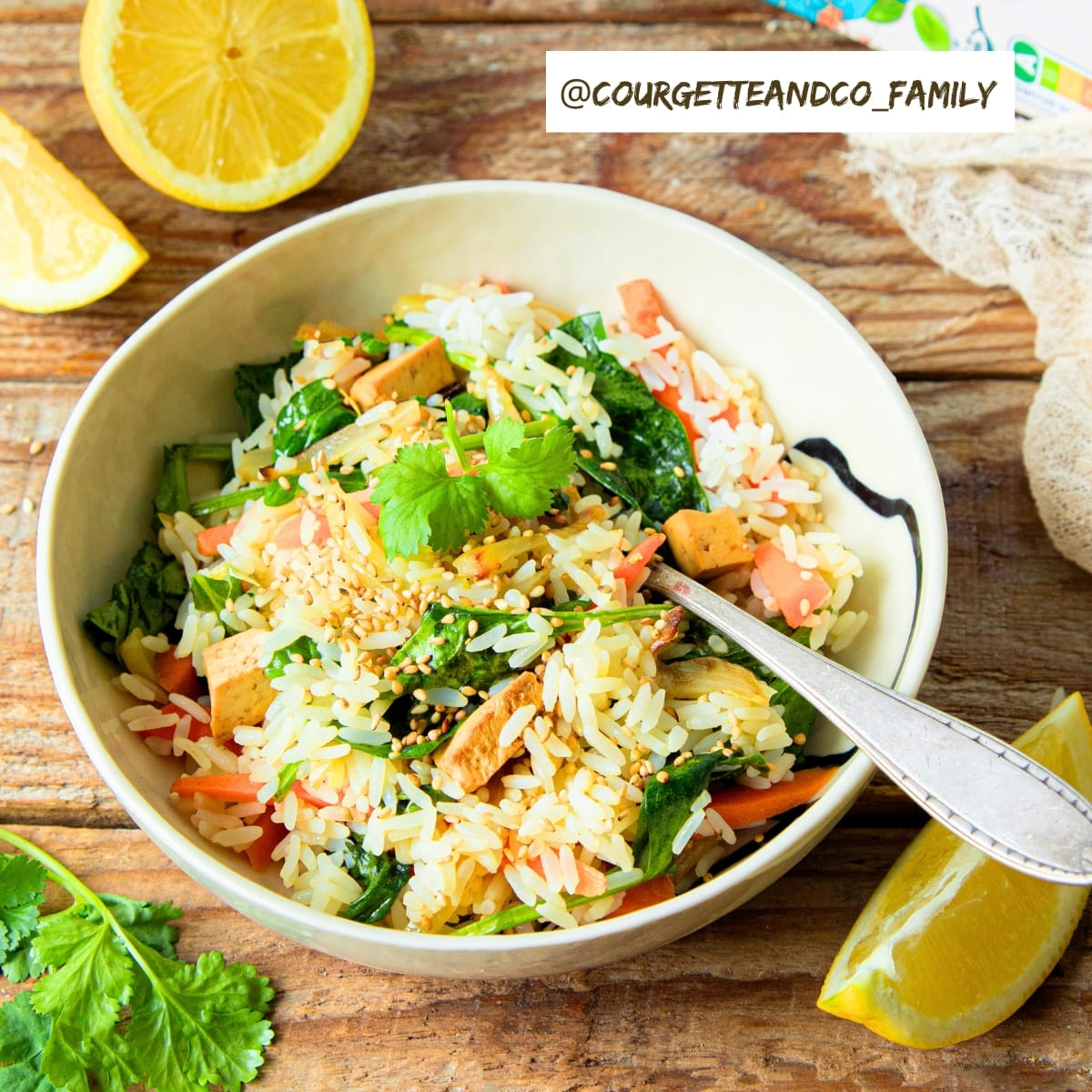 Riz Sauté Au Tofu Et Aux Légumes[1]