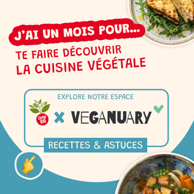 OUTRO   Bleu   1 1 (1)