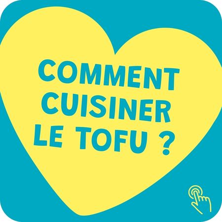 Comment Cuisiner Le Tofu (1)