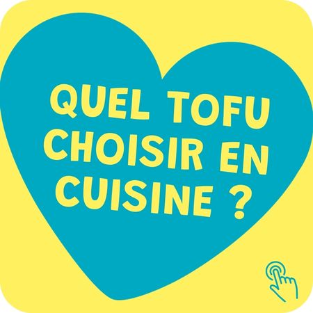 Quel Tofu Choisir En Cuisine