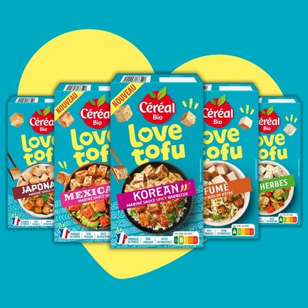 Tofu Aromatisé Ou Mariné